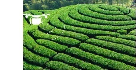 Ανθεκτικό στον άνεμο ψεκαστικό drone φυτοφαρμάκων με δομή γρήγορης απελευθέρωσης