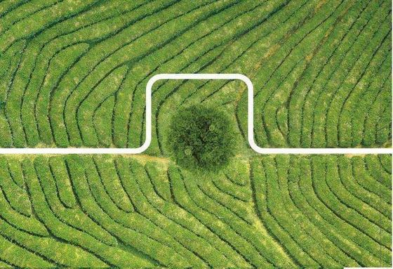 Ανθεκτικό στον άνεμο ψεκαστικό drone φυτοφαρμάκων με δομή γρήγορης απελευθέρωσης